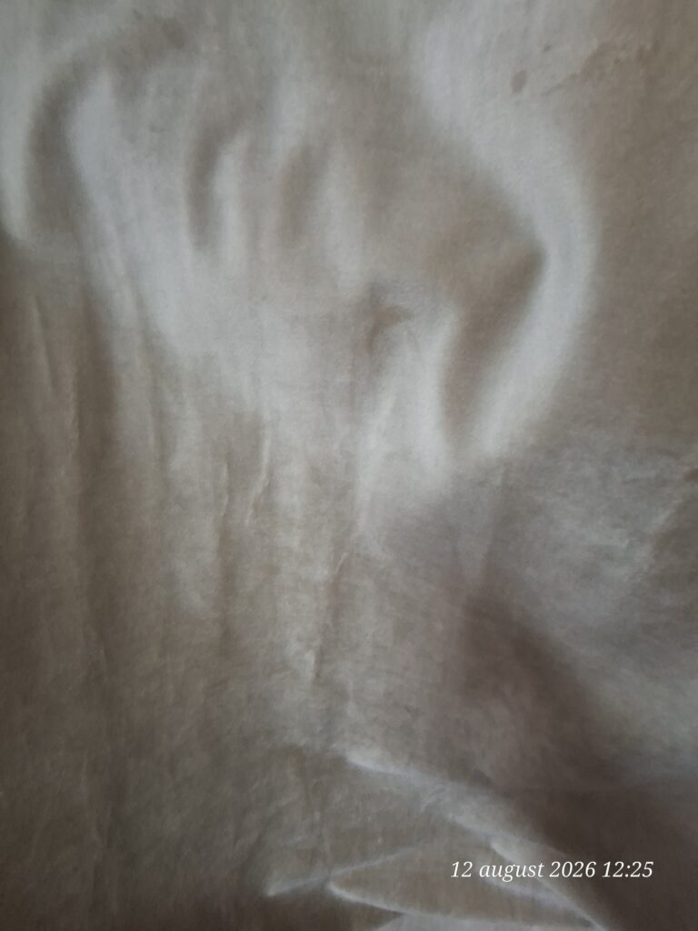 Draperie din catifea șampanie Champagne